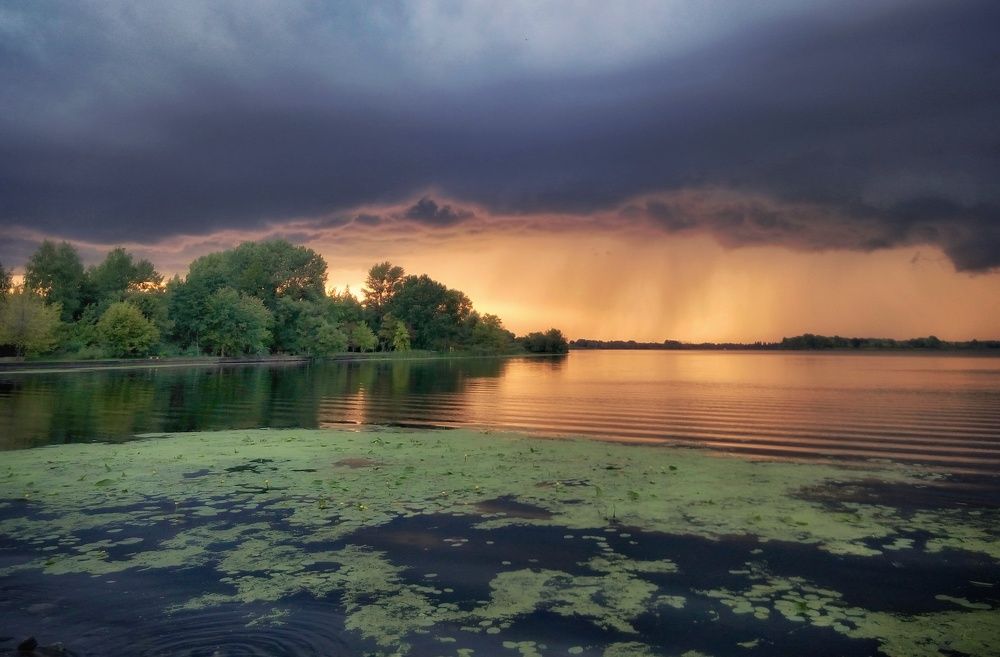 Приближается гроза.