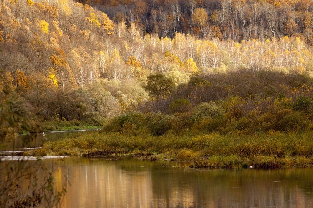Ока под Тарусой