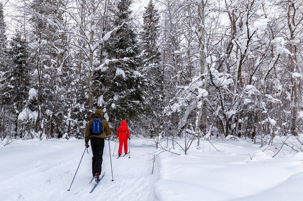 В зимнюю сказку