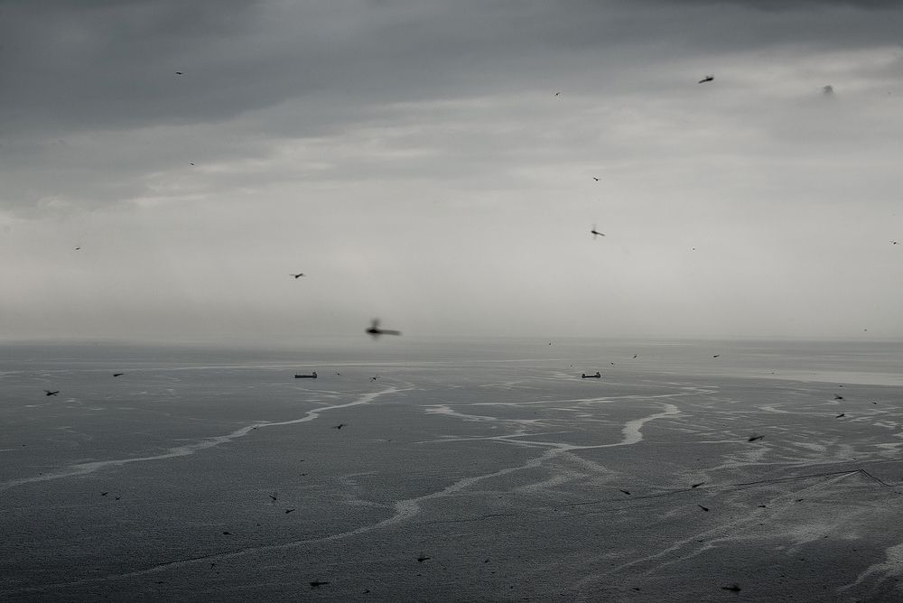 Корабли и стрекозы