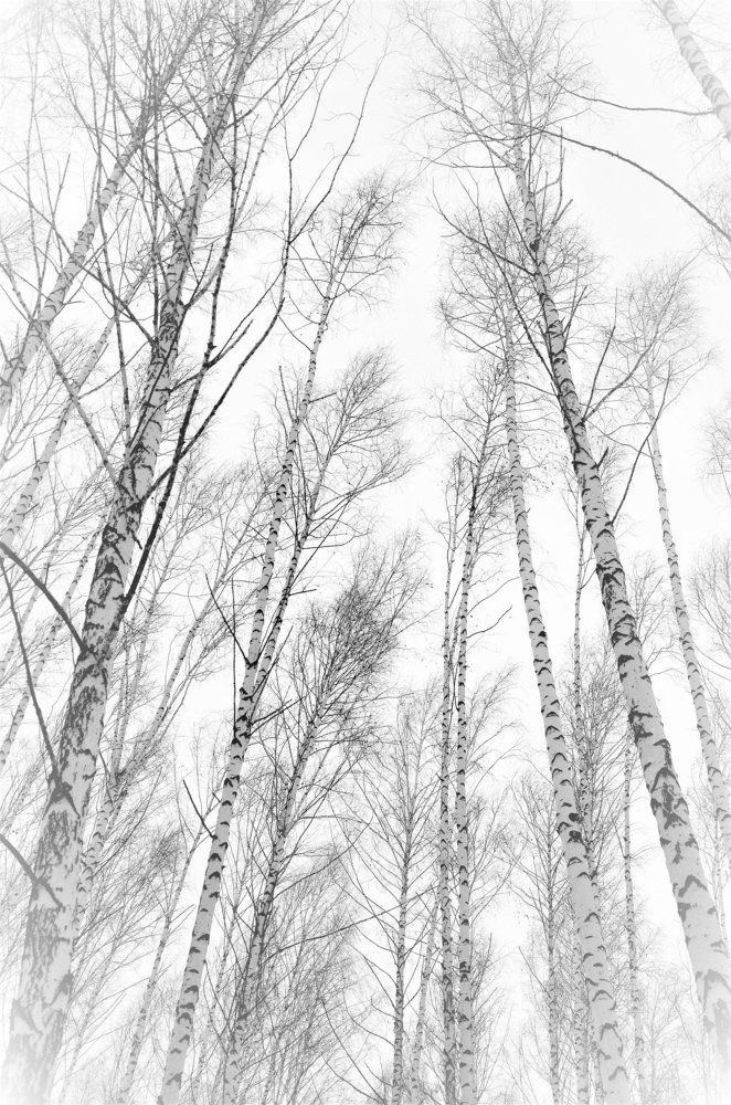 линии и пятна