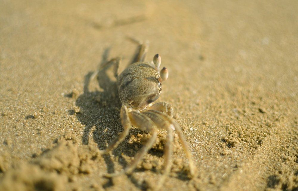 Photograph by Юлия