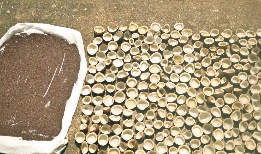 Photograph by Юлия