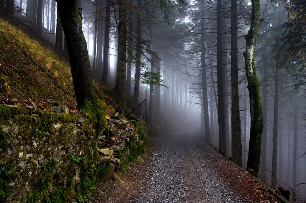 Сонная лощина - Sleepy hollow