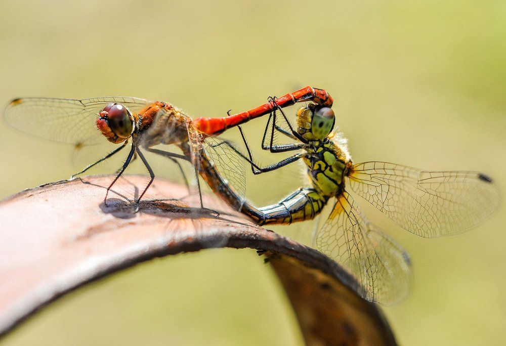 ..неслучайные связи..