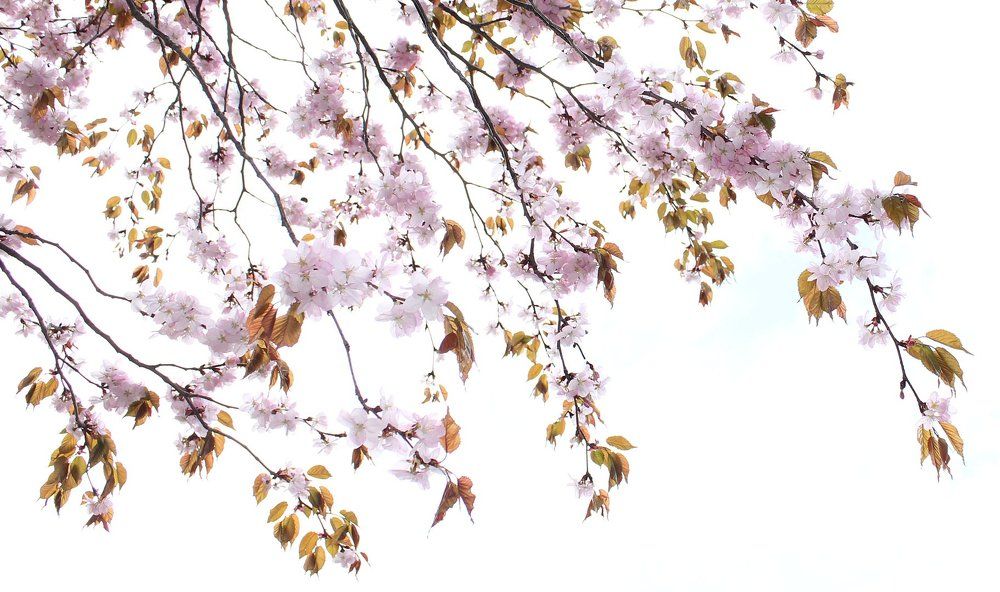 Photograph by Александр Зорин