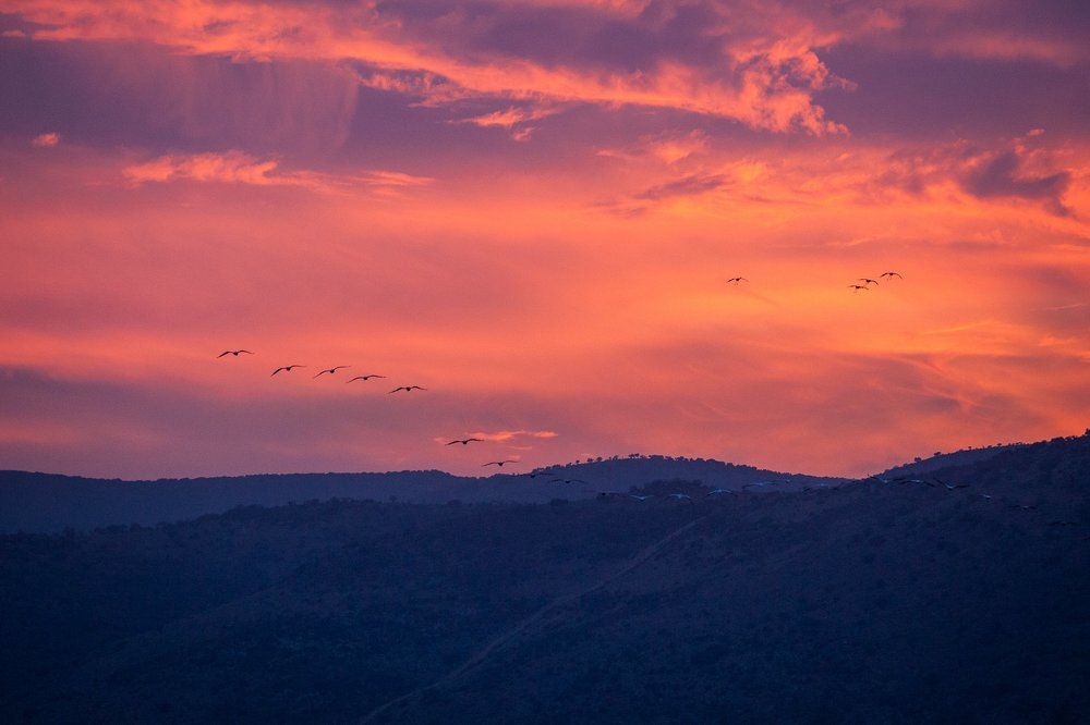 Sunset in Hula Valley