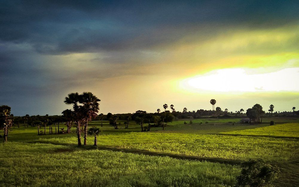 Nature Sunset