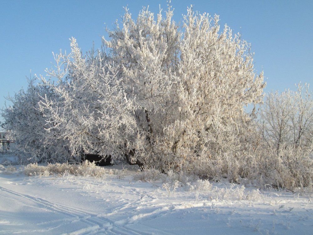 Photo #2098993