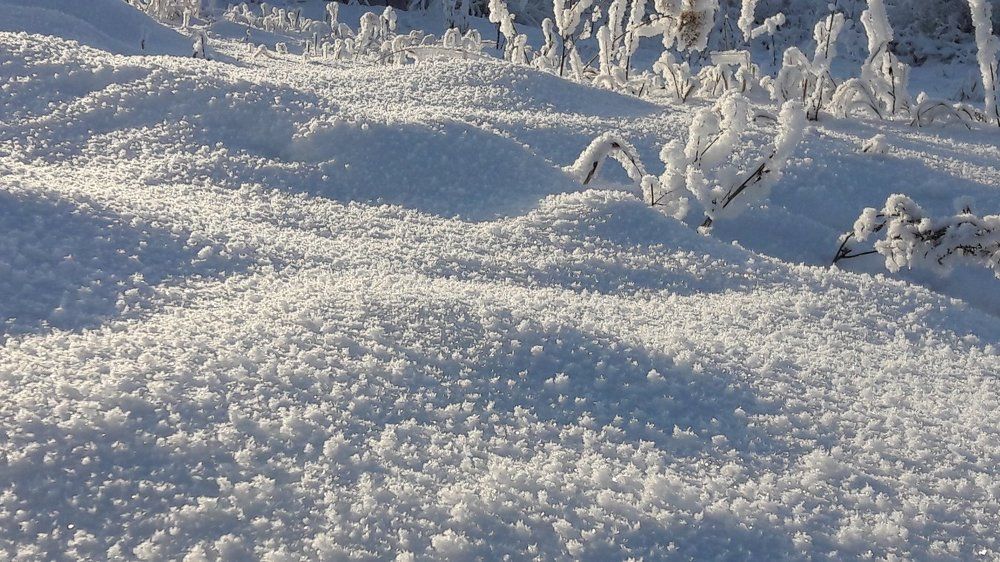 Морозное утро