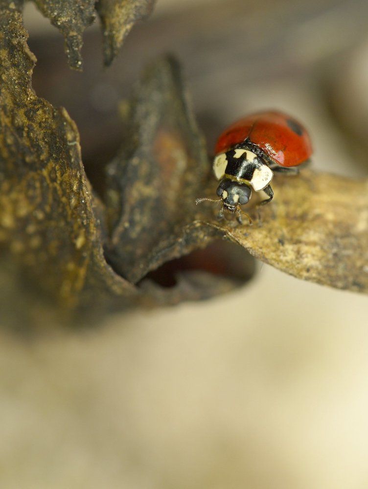 Photograph by Тим Талер