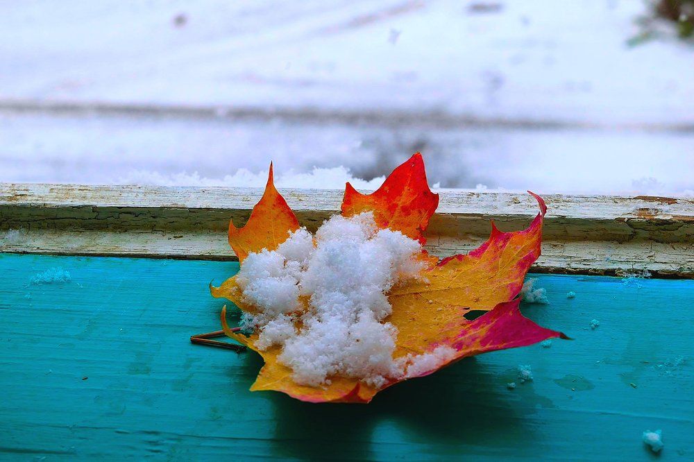 Зима и осень