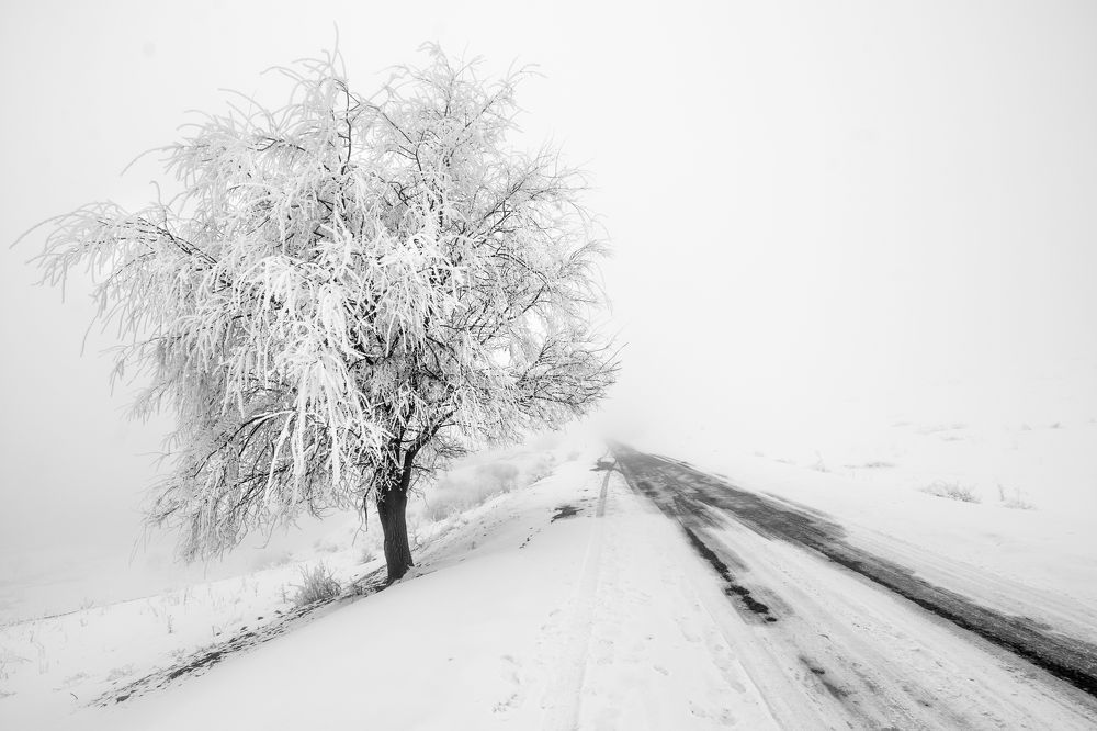 Зимняя дорога