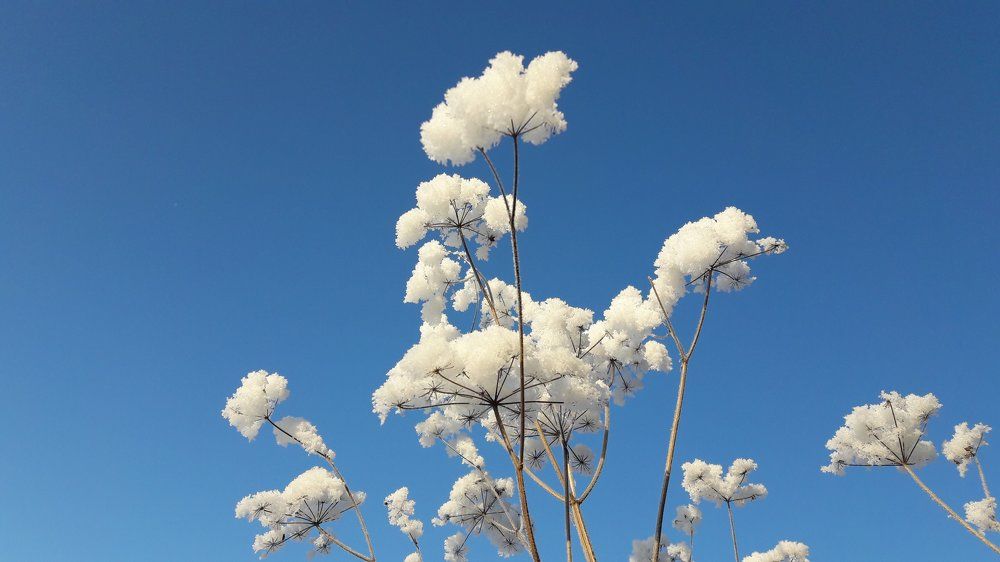 зимний наряд