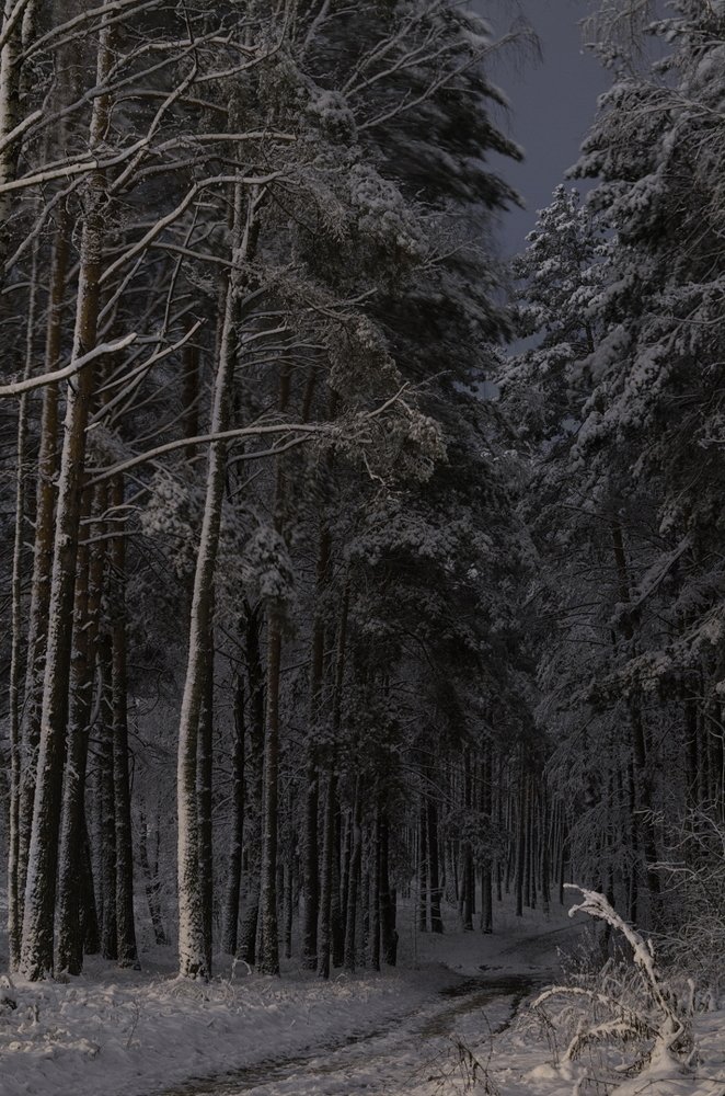 Вечерняя прогулка
