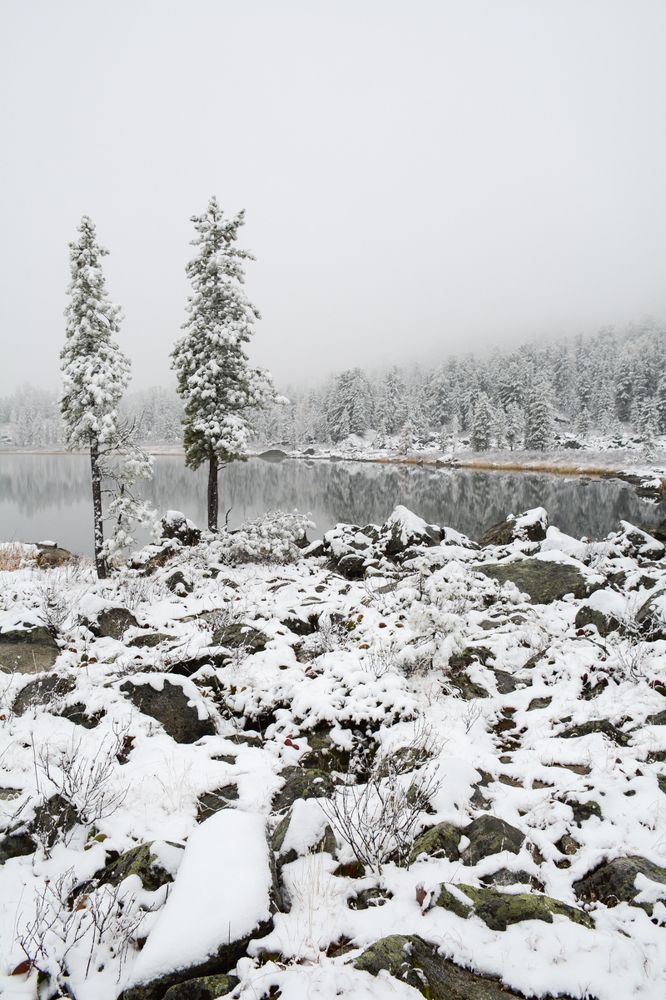 Photograph by Щербакова Галина