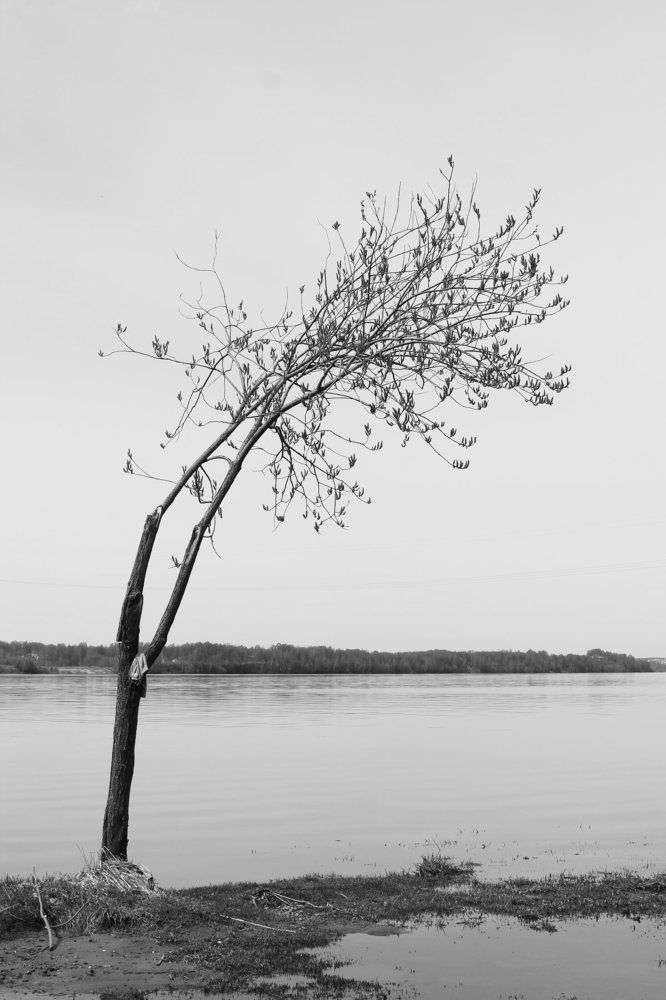 Photograph by Оля