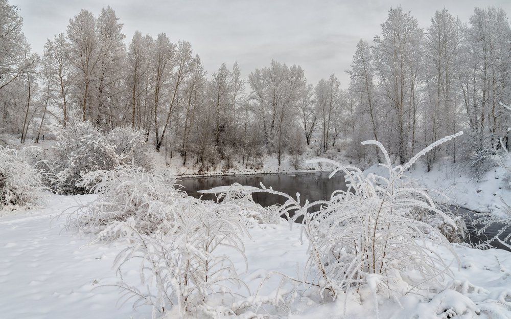 Протока р.Енисей.