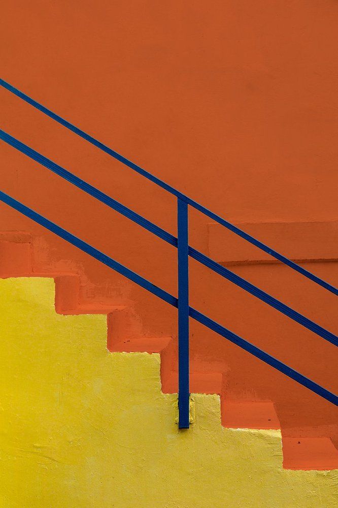 праздник цвета