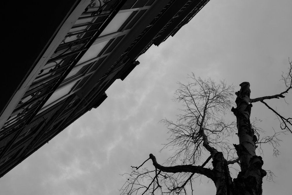 Photograph by Алена