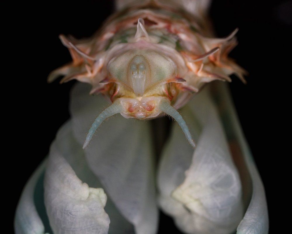 Photograph by Александр Зорин