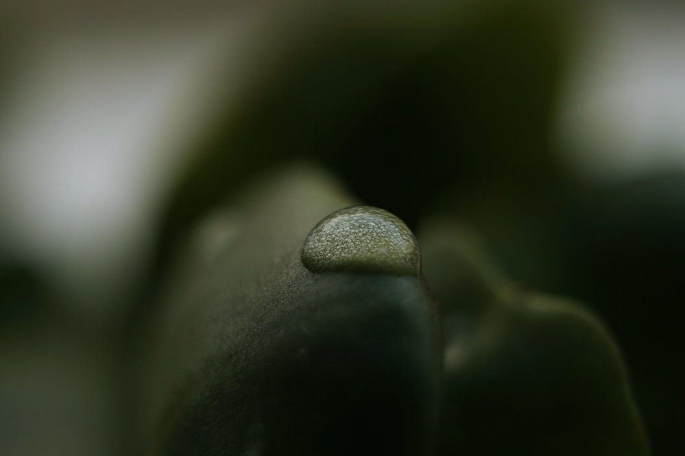 Одиночество