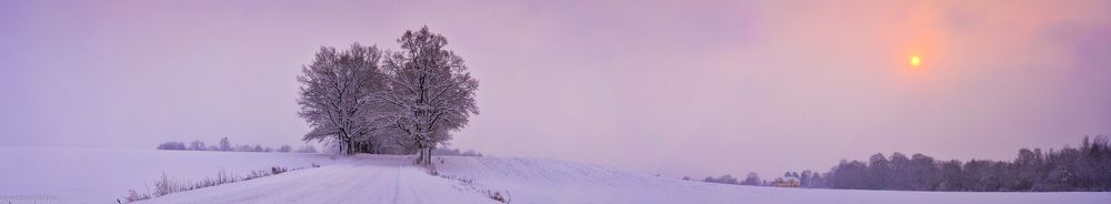Зимняя сказка.