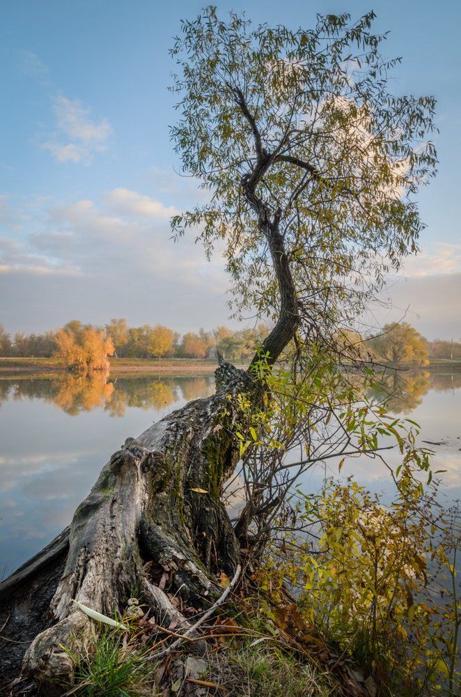 Photograph by Виталий