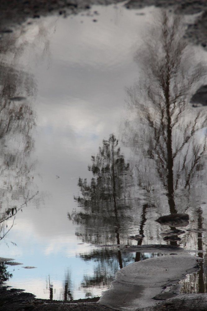 уж листья облетели