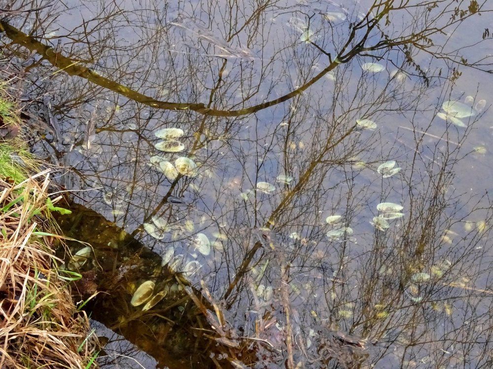 Разбитые мечты...