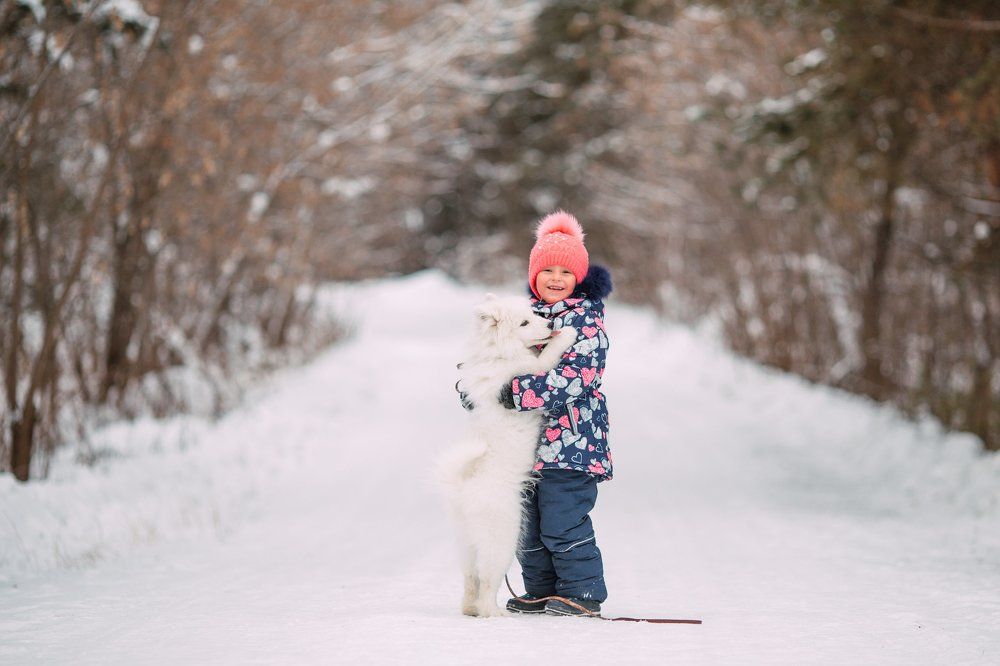Photograph by Валерия Валынкина