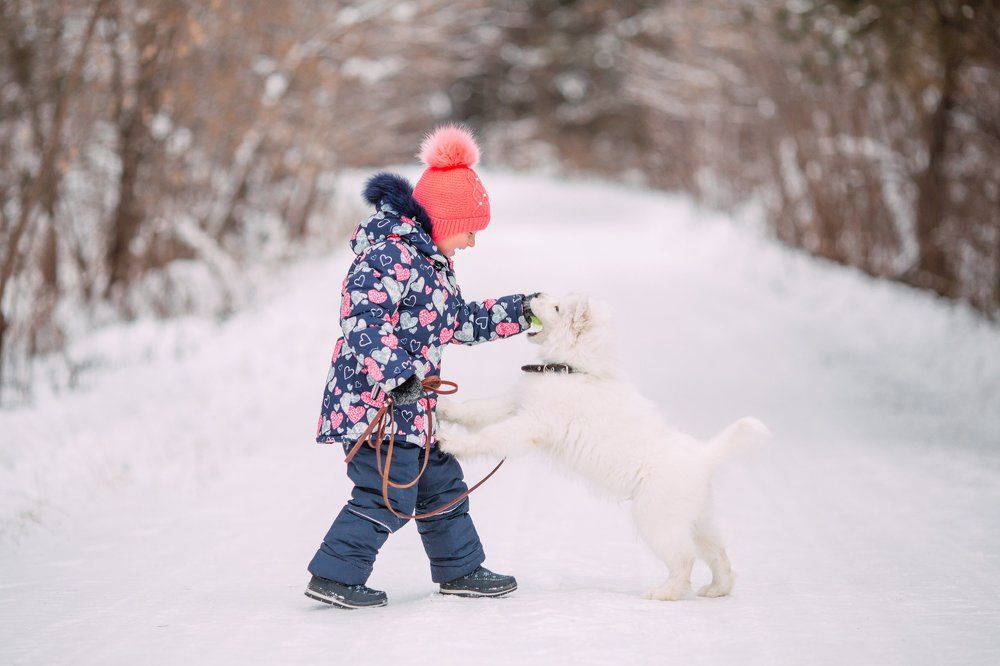Photograph by Валерия Валынкина