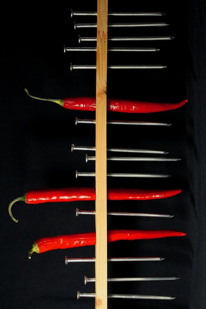 The life after death