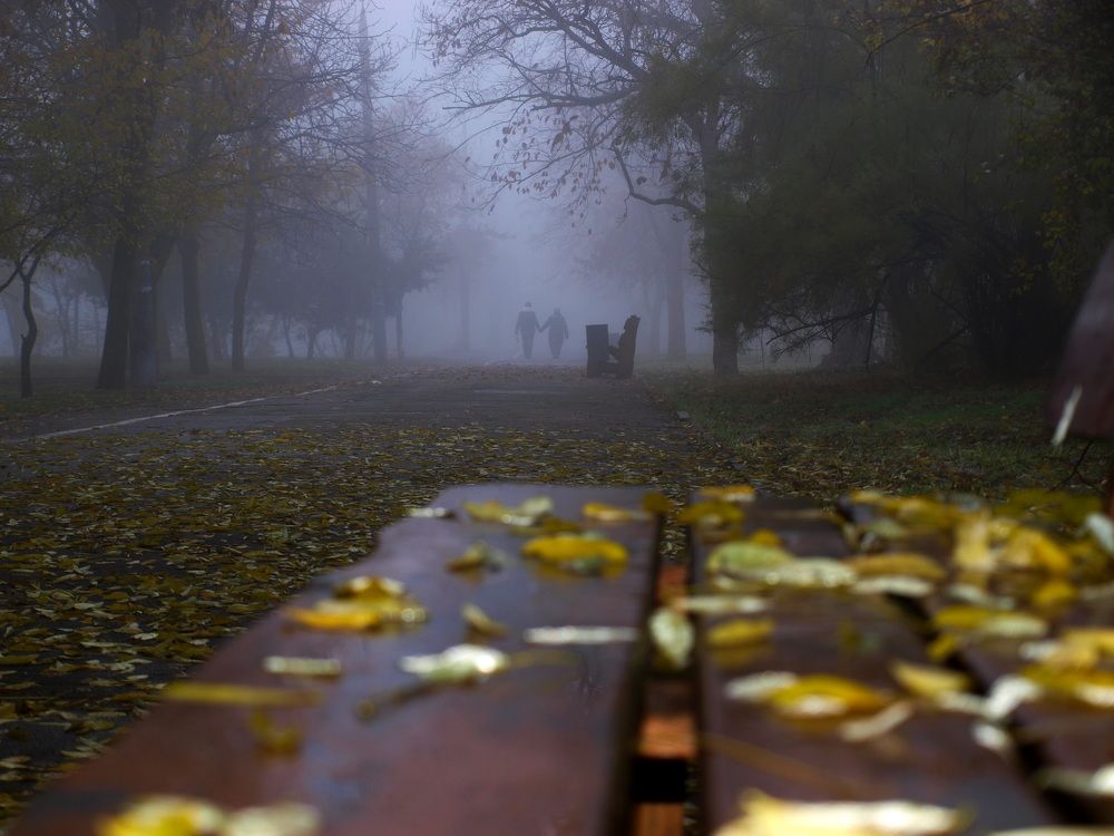 Двое и туман...