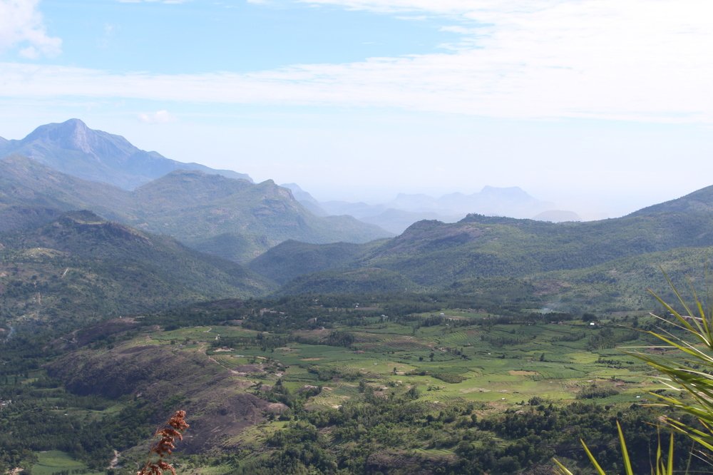 view from munnar hill