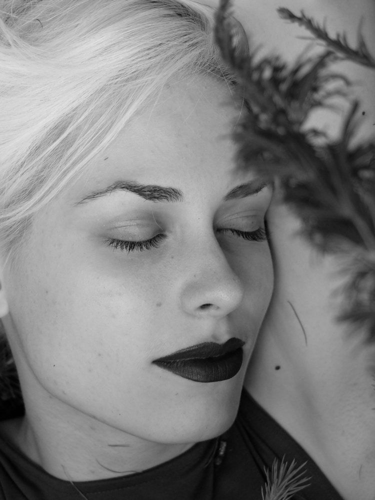 Photo #2099789