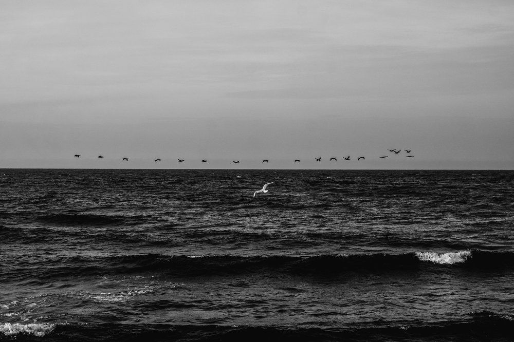 Photograph by Майя Рой