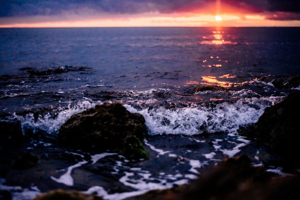 Photograph by Майя Рой