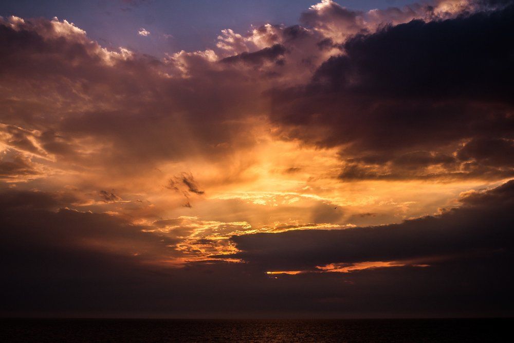 Photograph by Майя Рой