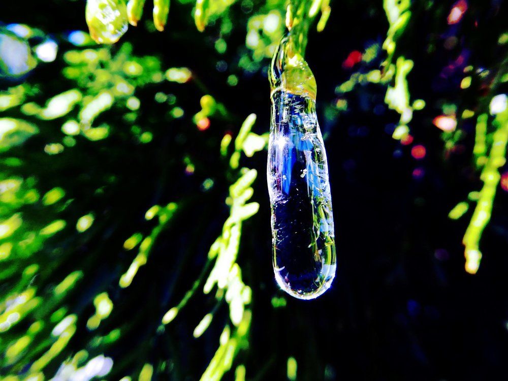 Сосулька баклажан .