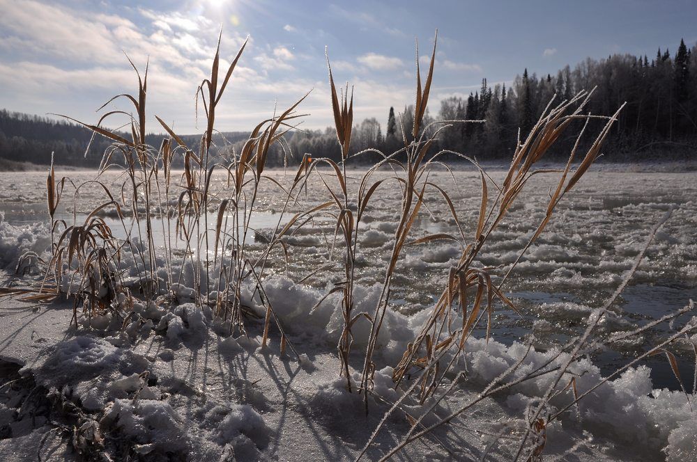 Кондома готовится к зиме
