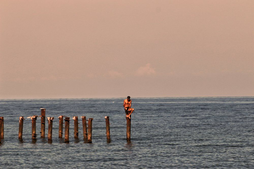 Большой баклан)))