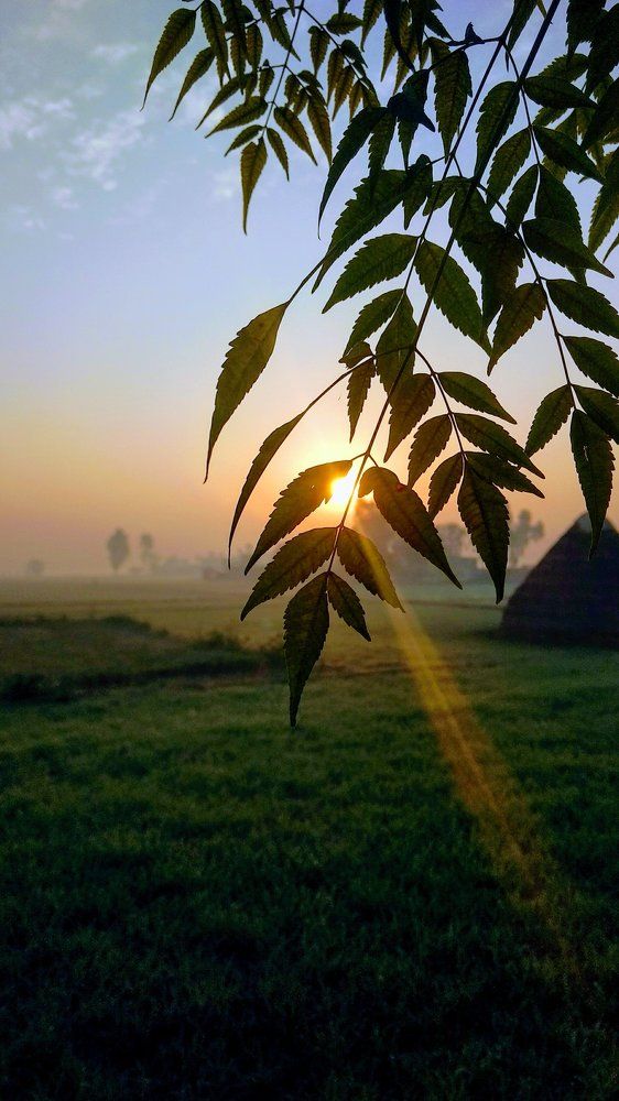 Sunrise