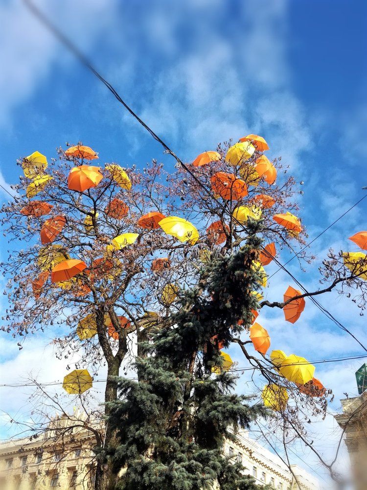 Photograph by Нина Писклова