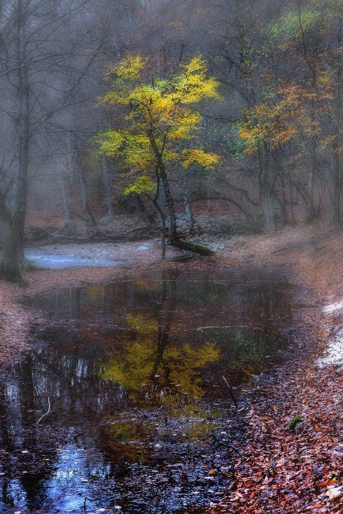 Настроение осени