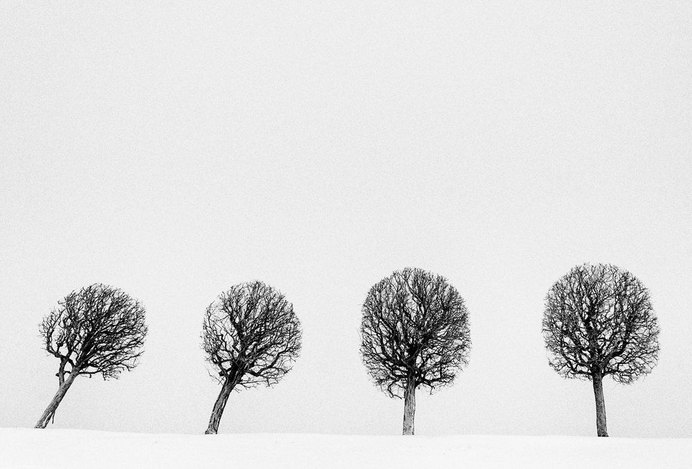 Photograph by Алексей Герасимов