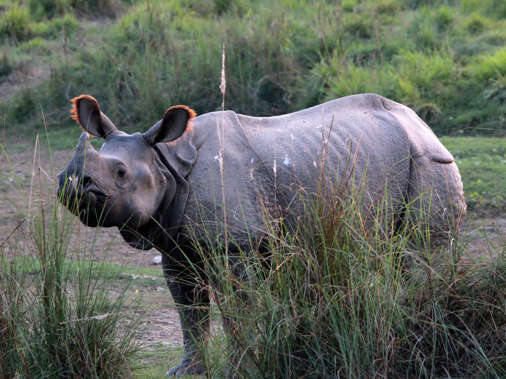 Я всегда на чеку!