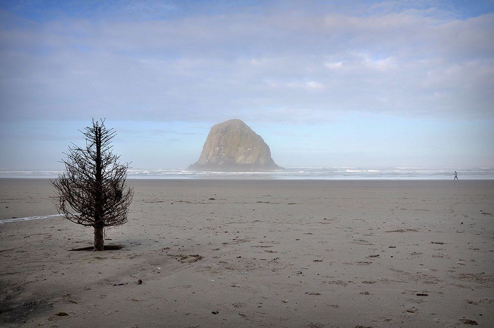 Камень, дерево, вода