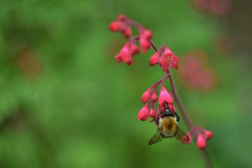 Ранний завтрак...