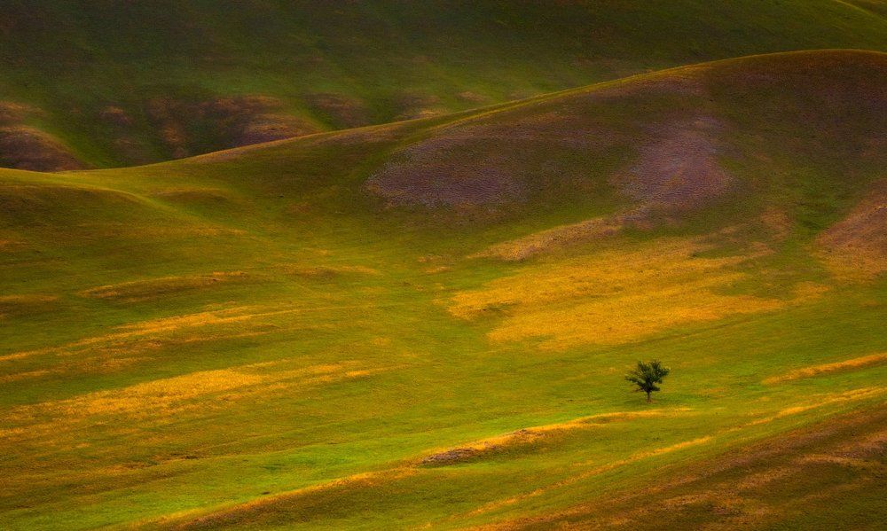 Одинокий странник